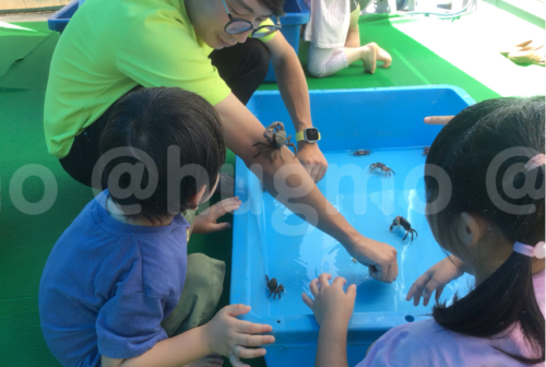 スクリーンショット 2024-07-28 212133