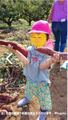 スクリーンショット 2025-10-25 150229