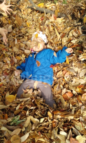 スクリーンショット 2025-12-16 185035